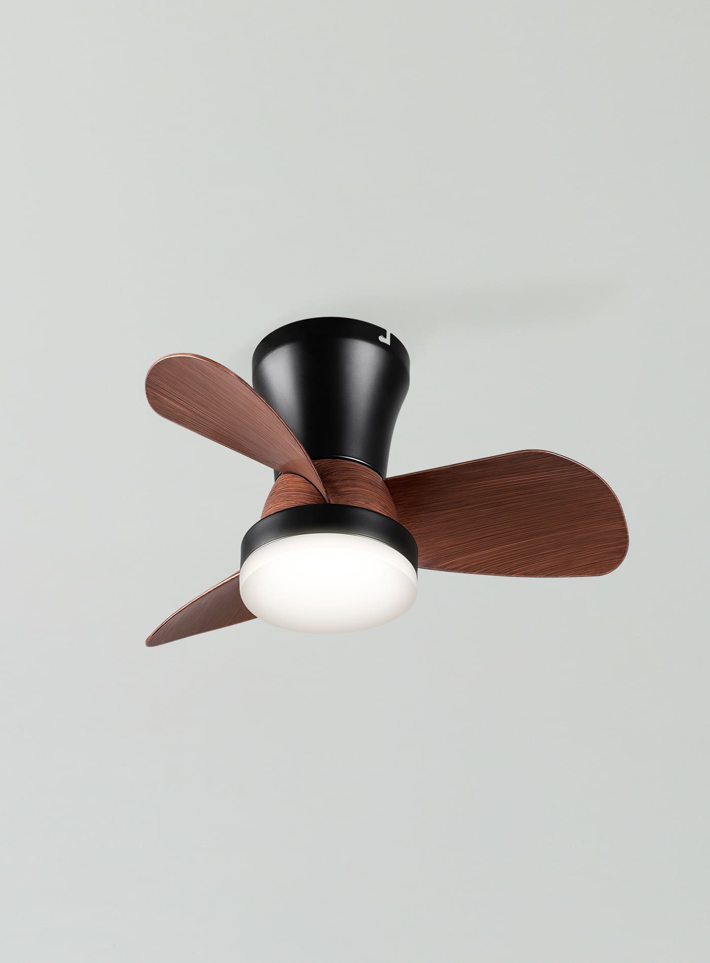 #Color_walnut