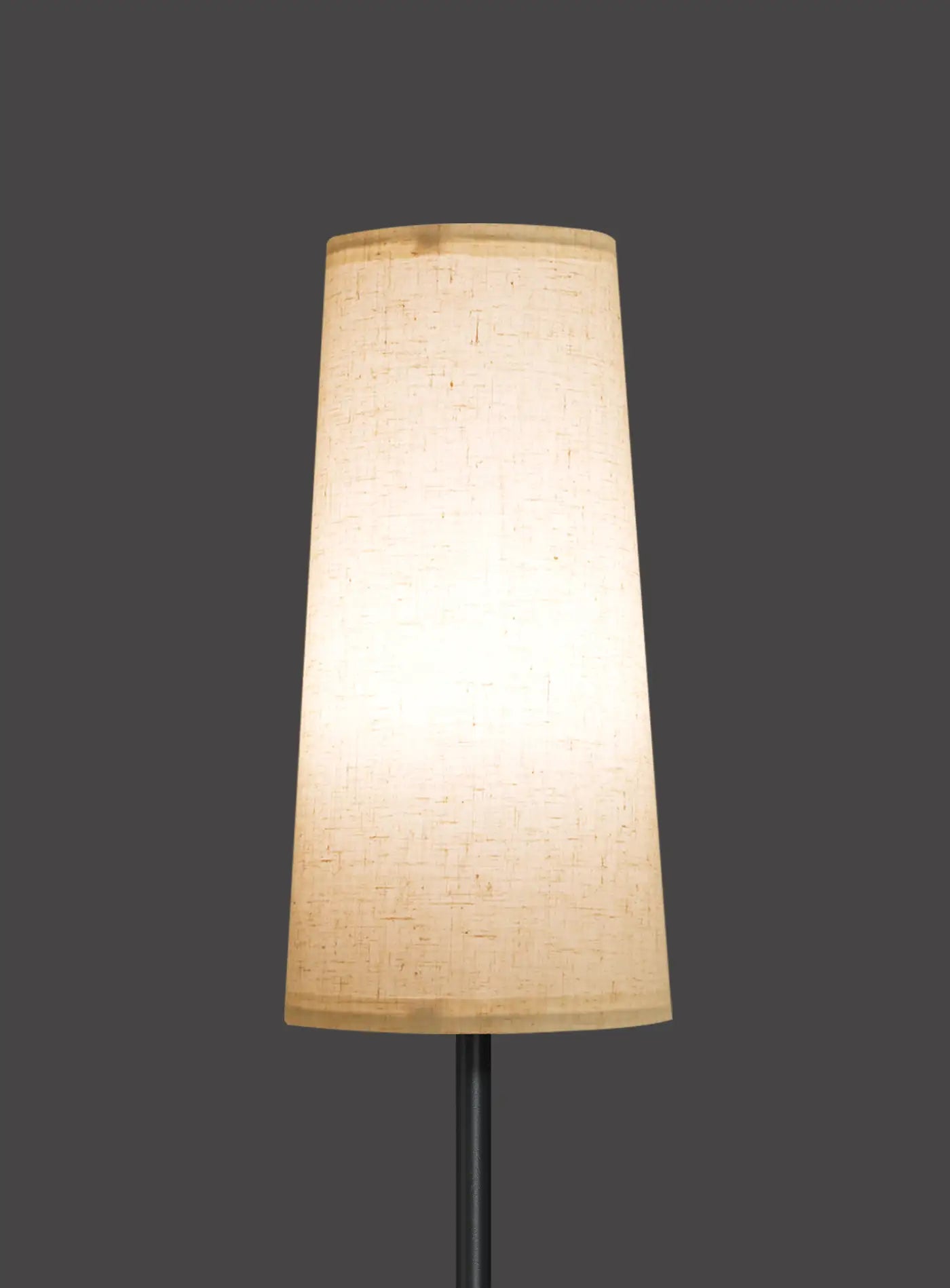 #Color_Beige