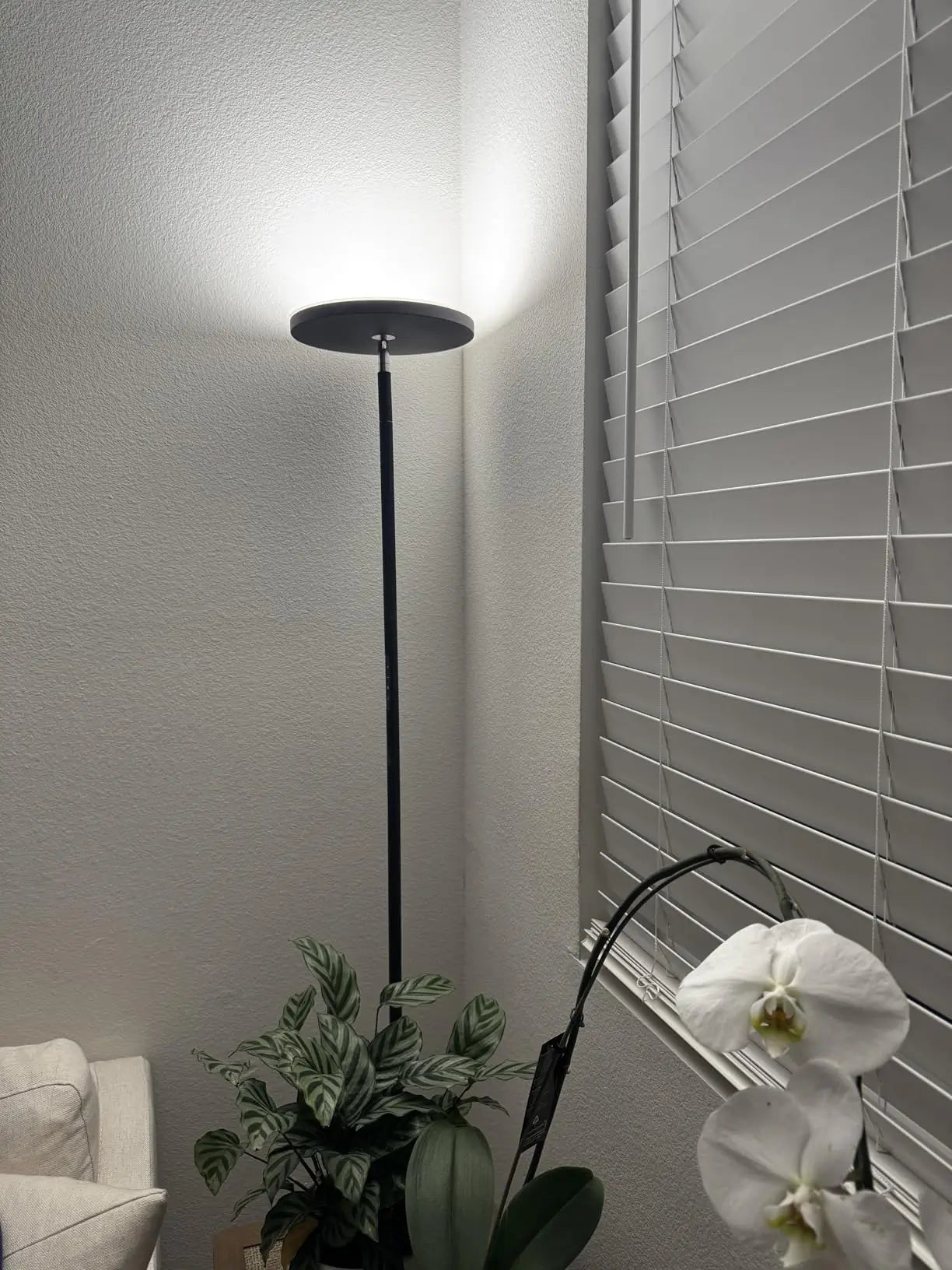 A sleek, tall metal torchiere floor lamp with an upward-facing light dish, offering bright and widespread ambient illumination in a modern room with a comfortable sofa and a glass coffee table.