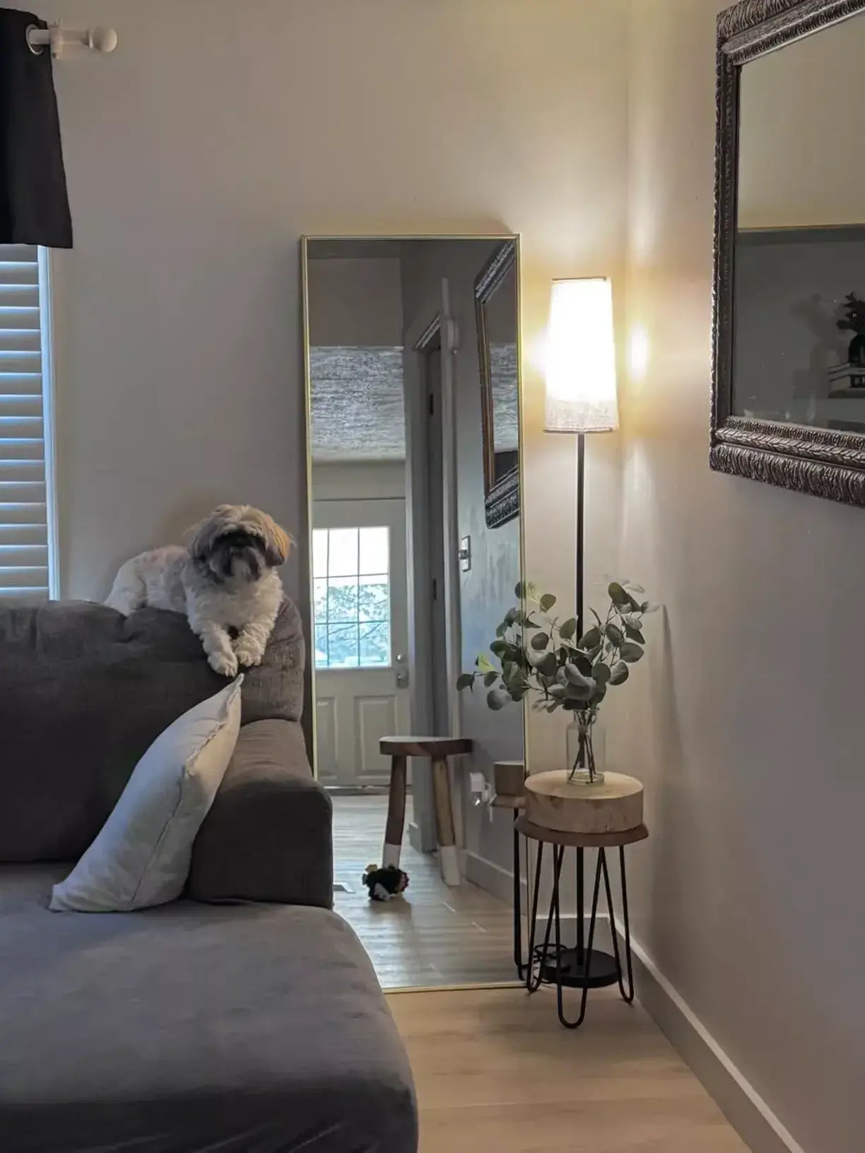 A stylish floor lamp with a light-colored shade illuminating a home entryway or living space, positioned next to a large full-length mirror and a small round side table with greenery, with a dog on a grey sectional sofa